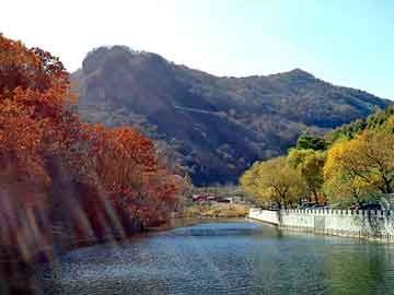 新澳天天开奖资料大全旅游团，蔬菜大棚骨架